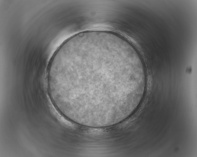 X0000114651470200912011101