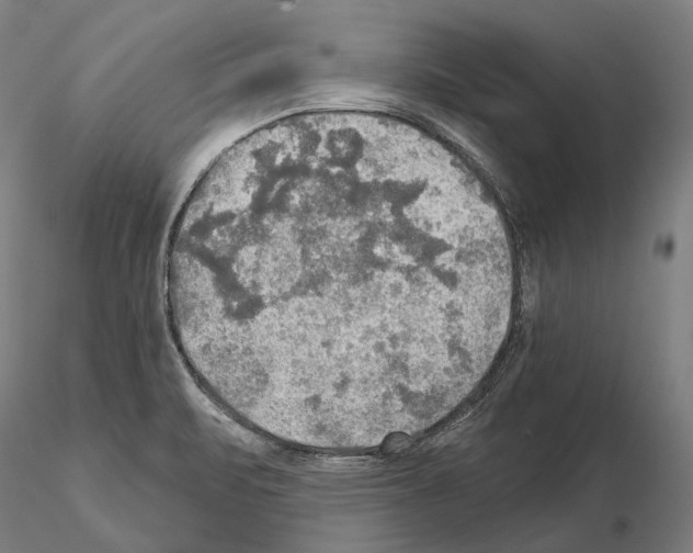 X0000114651471200912011101