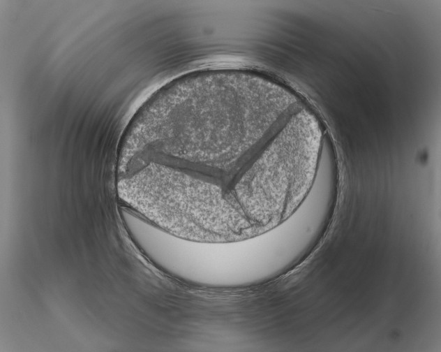 X0000114651473200912011100