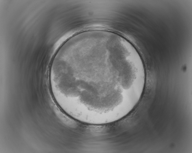 X0000114651474200912011100