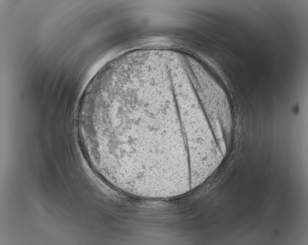 X0000114651475200912011100