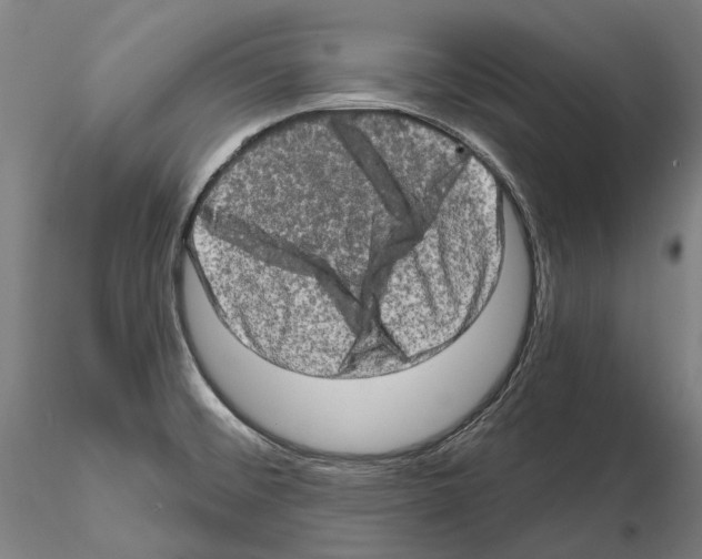 X0000114651476200912011100