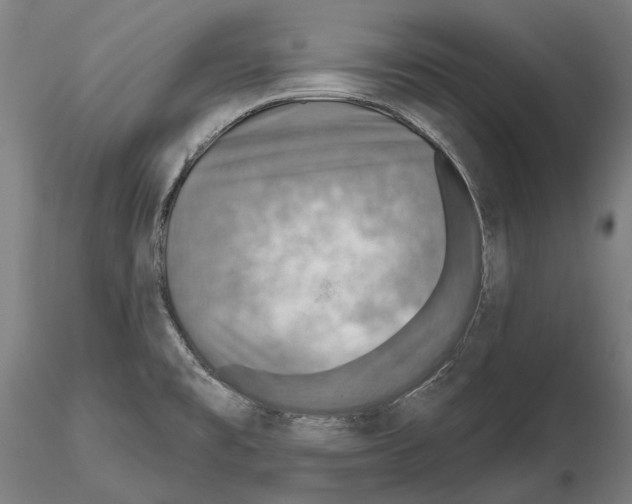 X0000114651477200912011100