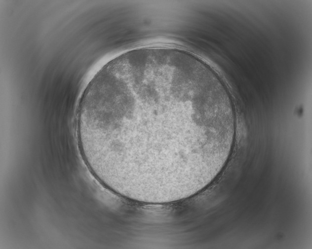 X0000114651478200912011100