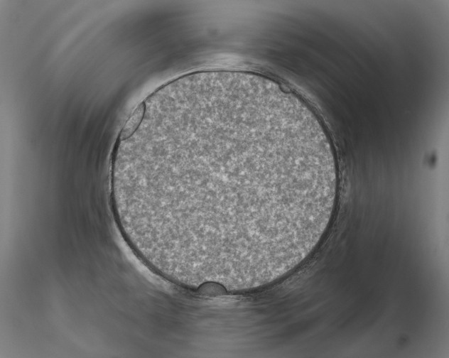 X0000114651479200912011100