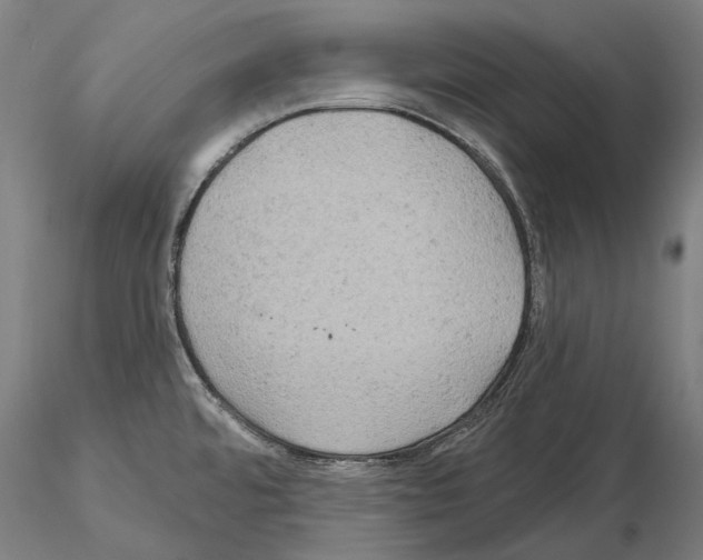 X0000114651480200912011100