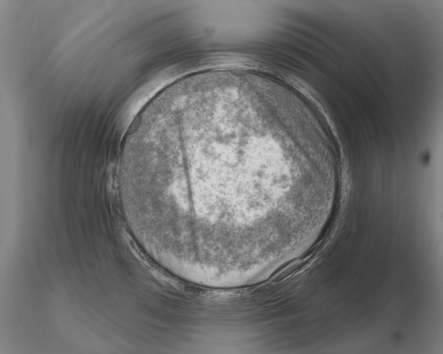 X0000114651481200912011100