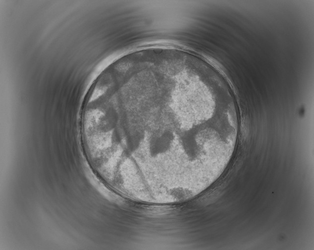 X0000114651482200912011100