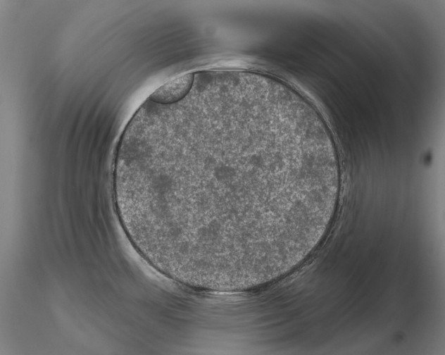 X0000114651483200912011100