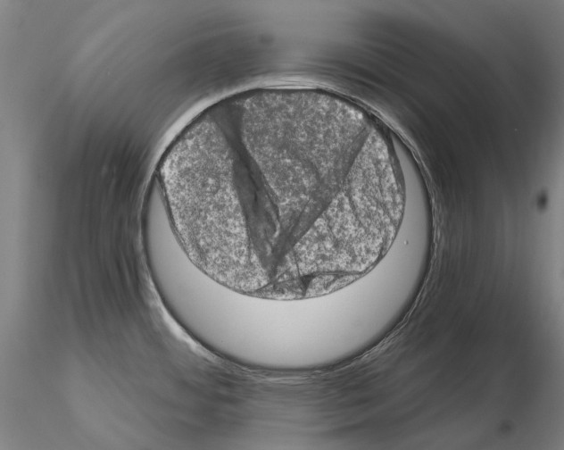 X0000114651484200912011100