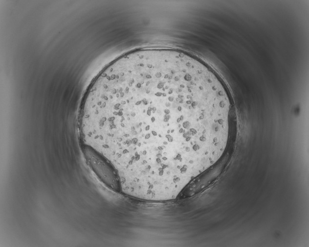 X0000114651485200912011100