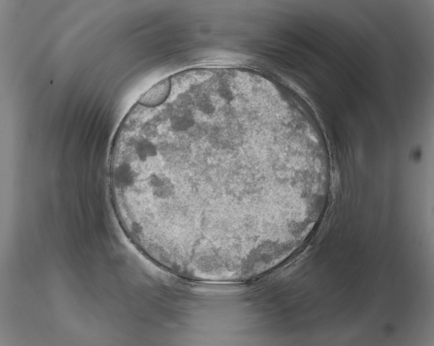 X0000114651487200912011100