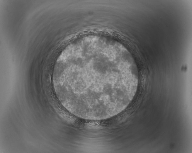 X0000114651489200912011100