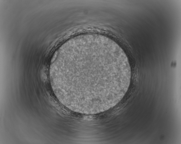 X0000114651490200912011100