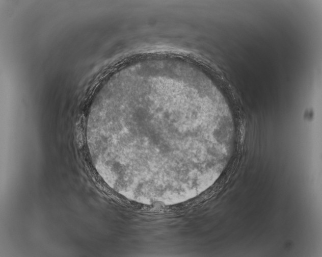 X0000114651493200912011100