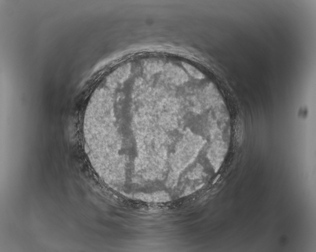 X0000114651494200912011100