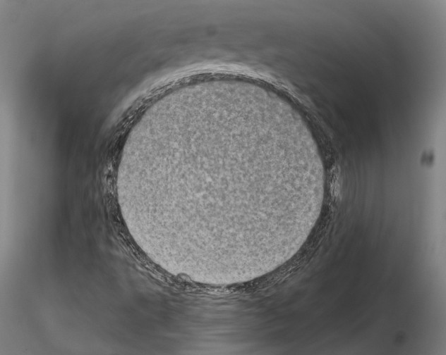 X0000114651495200912011100