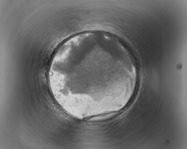 X0000114651497200912011100