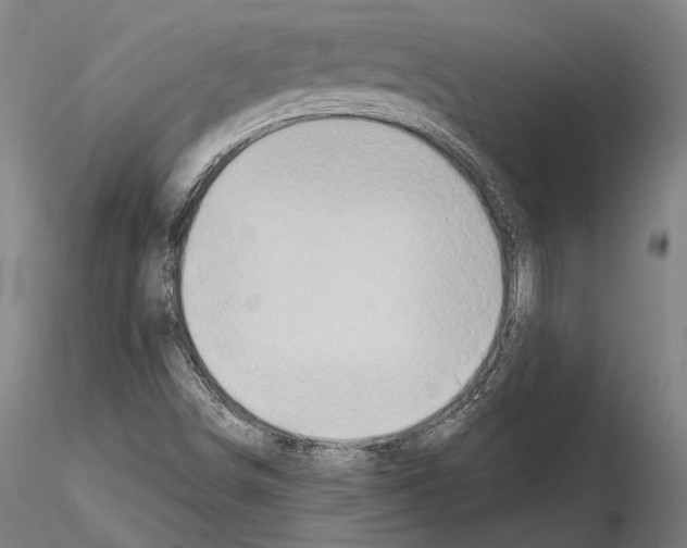 X0000114651498200912011100