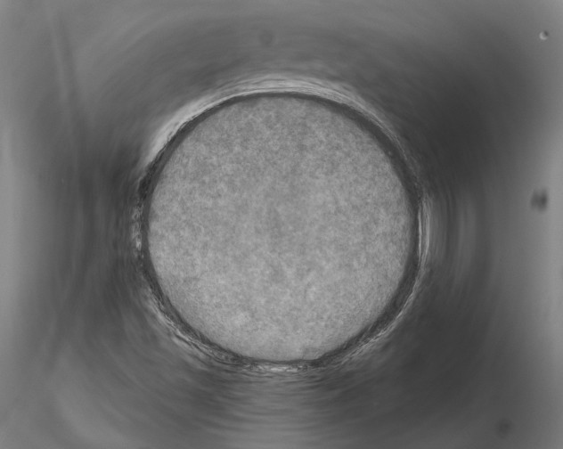 X0000114651501200912011100