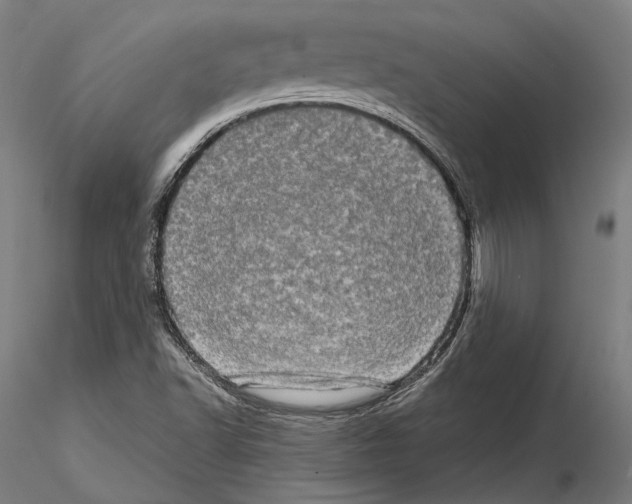 X0000114651502200912011100