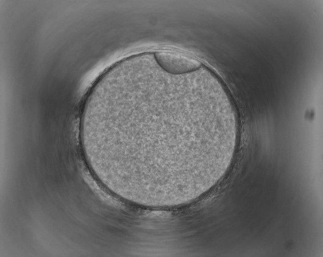 X0000114651503200912011100