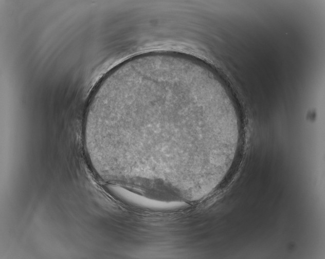 X0000114651505200912011100