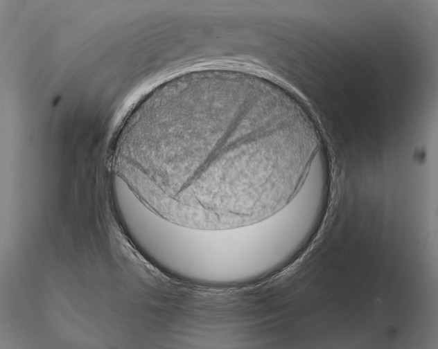 X0000114651506200912011100