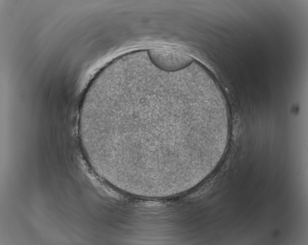 X0000114651507200912011100