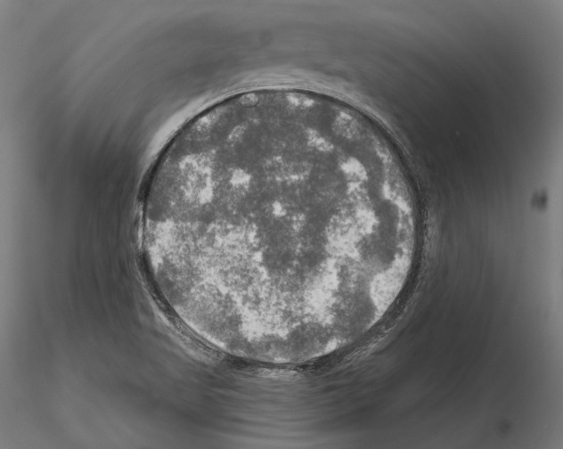 X0000114651509200912011100