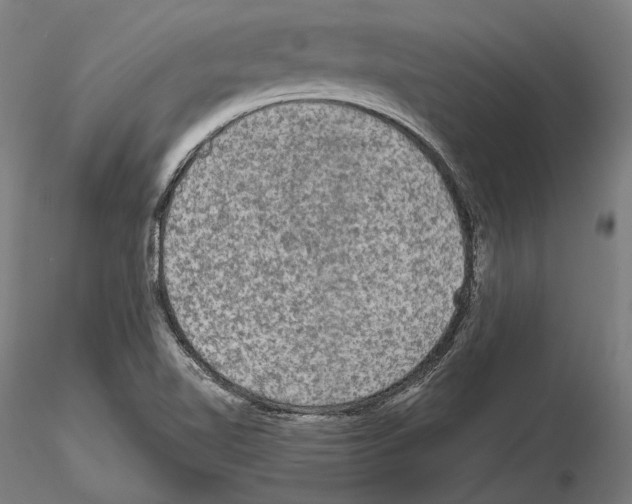 X0000114651510200912011100