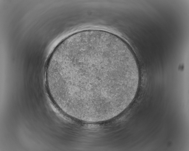 X0000114651511200912011100