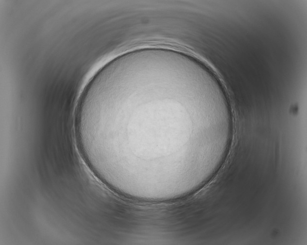 X0000114651514200912011100