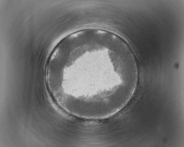 X0000114651515200912011100