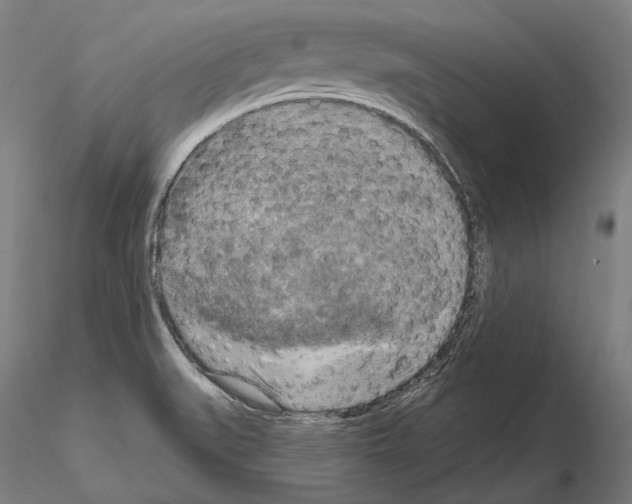 X0000114651519200912011100