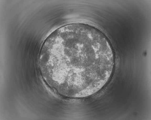 X0000114651521200912011100