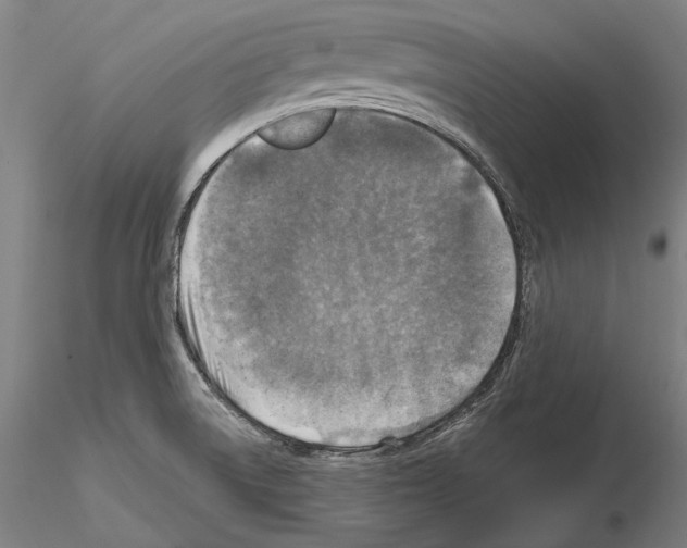 X0000114651522200912011100