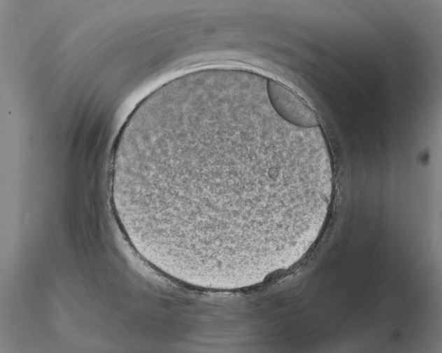 X0000114651526200912011100