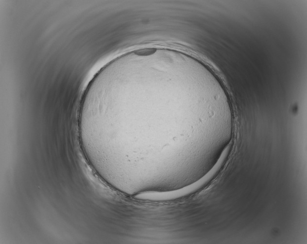 X0000114651530200912011100