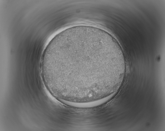 X0000114651531200912011100