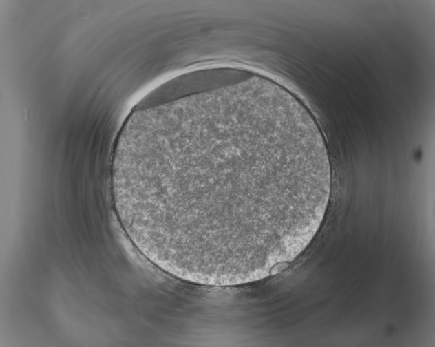 X0000114651534200912011100