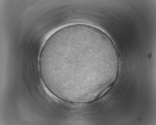 X0000114651535200912011100