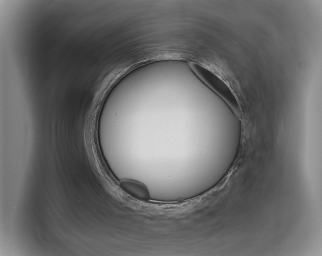 X0000114660001200910201030