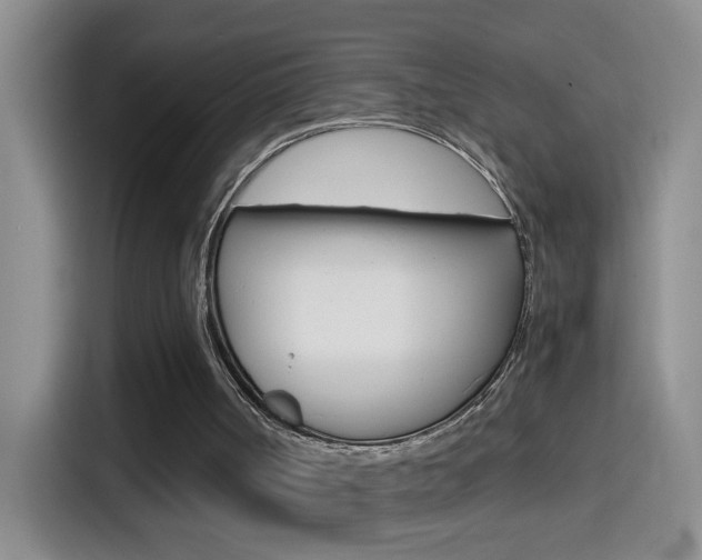 X0000114660002200910201030