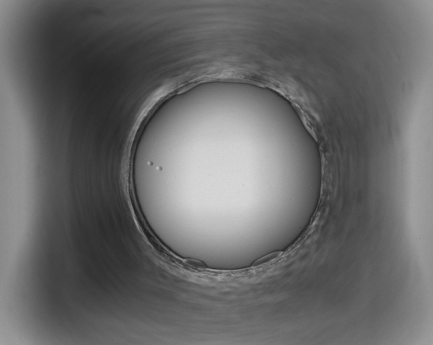 X0000114660003200910201030