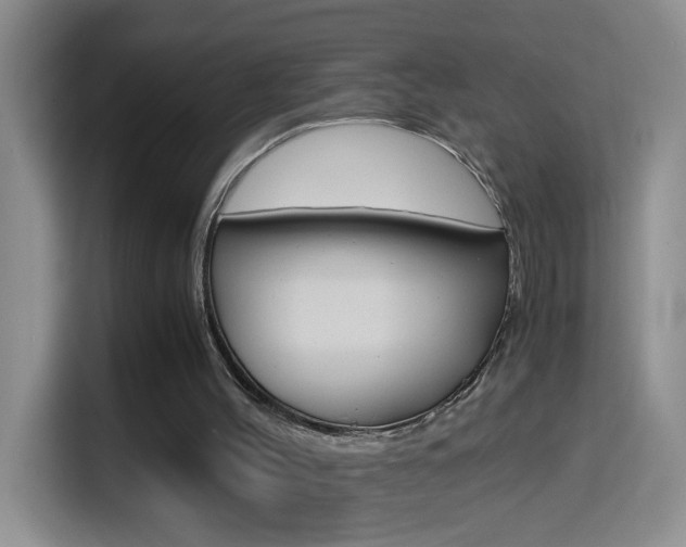 X0000114660004200910201030