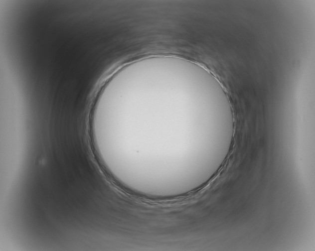 X0000114660005200910201030