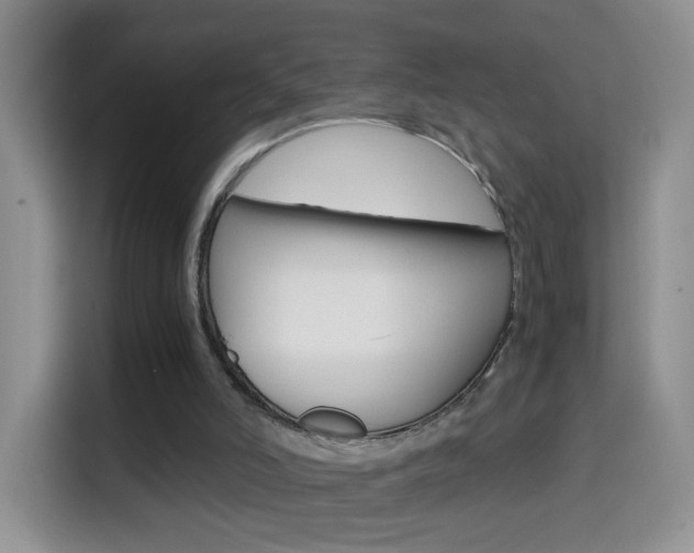 X0000114660006200910201030