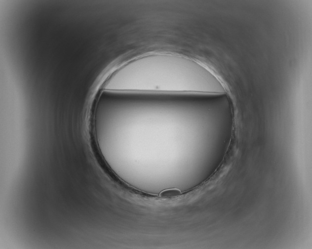 X0000114660007200910201030