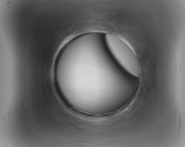 X0000114660008200910201030